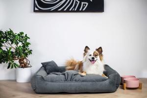 Vsepropejska Snug elegantní pelech pro psa Barva: Tmavě-šedá, Rozměr (cm): 110 x 90