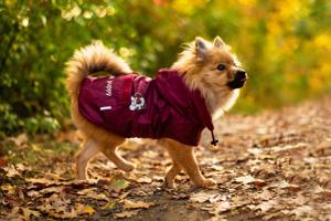 Vsepropejska Winter bunda pro psa s kapucí Barva: Hnědá, Délka zad (cm): 36, Obvod hrudníku: 38 - 58 cm
