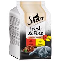 Výhodné balení 72 x 50 g Sheba Fresh & Fine - jemná pestrost