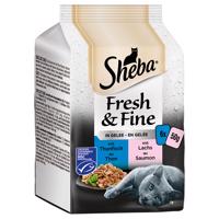 Výhodné balení 72 x 50 g Sheba Fresh & Fine - tuňák a losos v želé