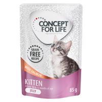 Výhodné balení Concept for Life bez obilovin 24 x 85 g - Kitten losos - v omáčce