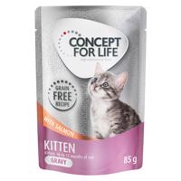 Výhodné balení Concept for Life bez obilovin 48 x 85 g - Kitten losos - v omáčce