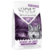 Wolf of Wilderness granule, 1 kg, za skvělou cenu! - Silvery Lakes - kuřecí & kachní